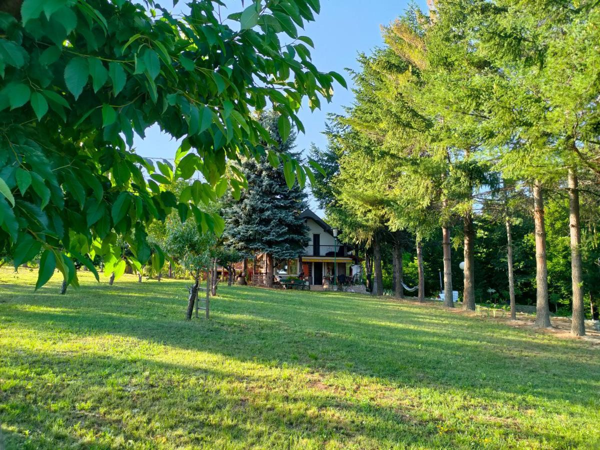 Vila Jezerski Raj Borsko Jezero Exterior foto
