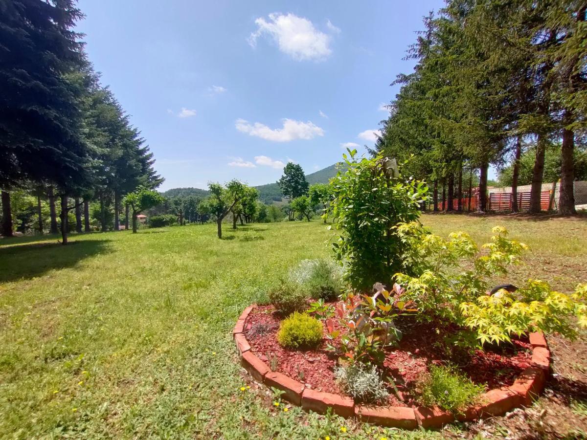 Vila Jezerski Raj Borsko Jezero Exterior foto