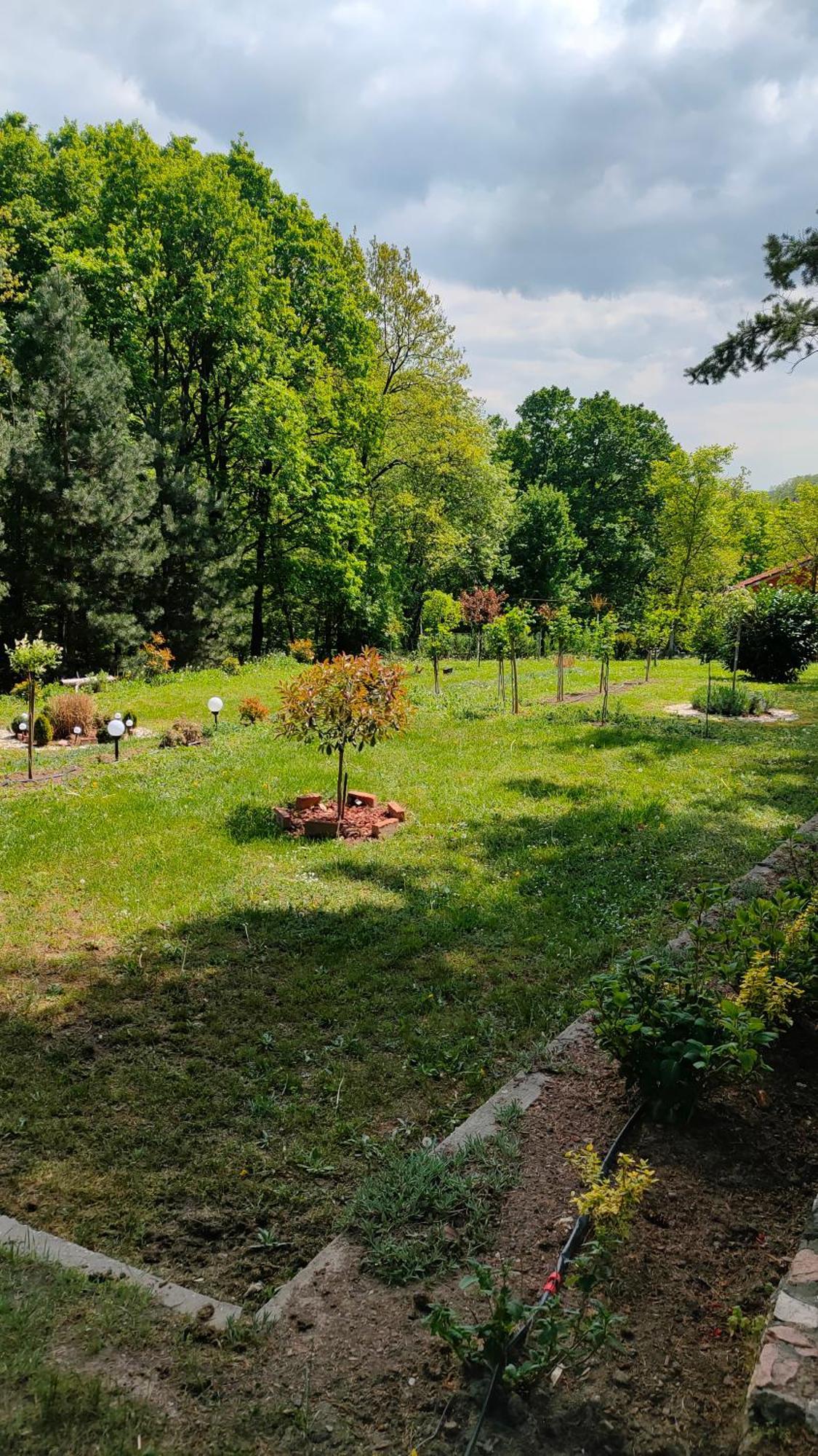 Vila Jezerski Raj Borsko Jezero Exterior foto