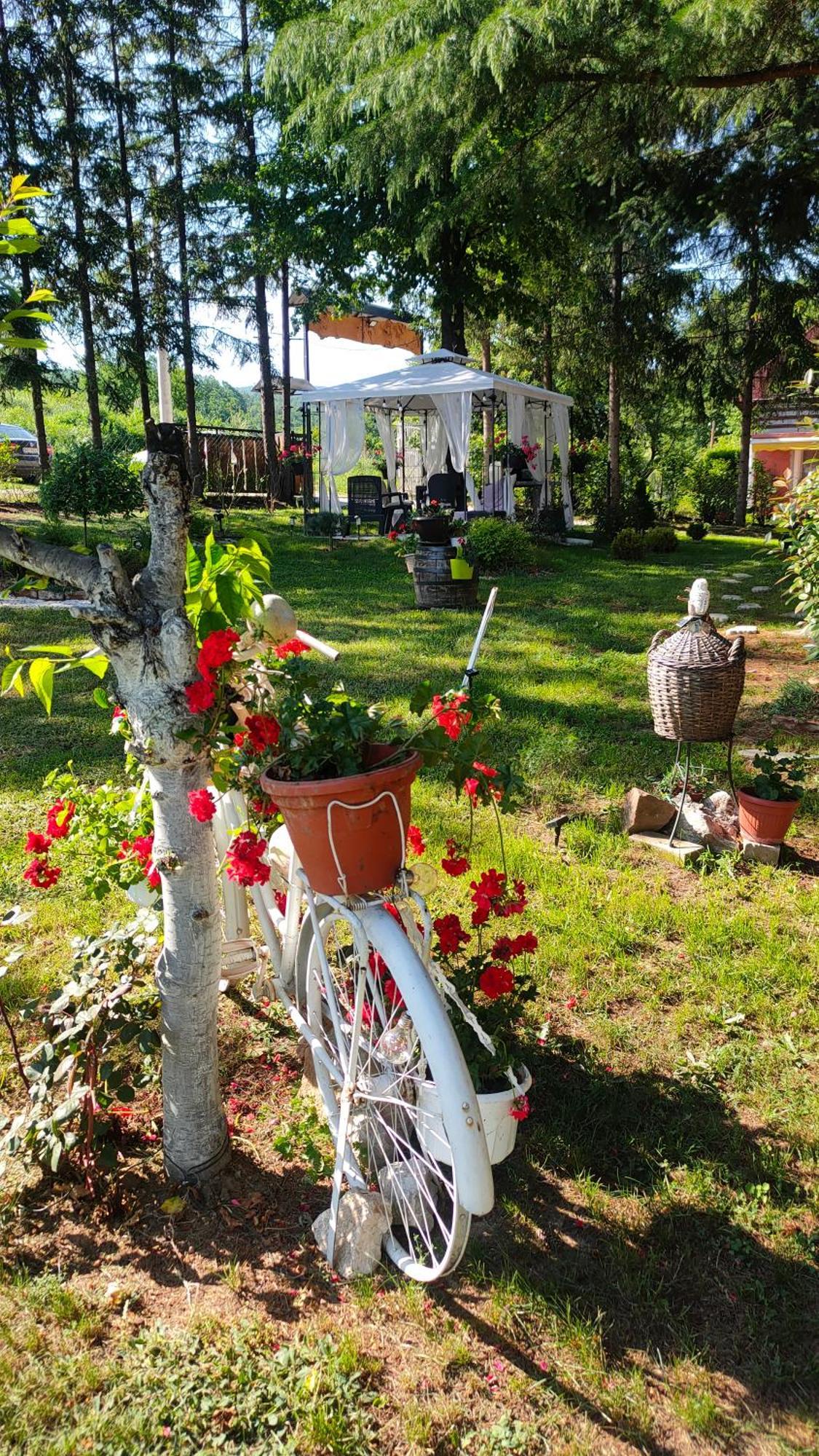 Vila Jezerski Raj Borsko Jezero Exterior foto